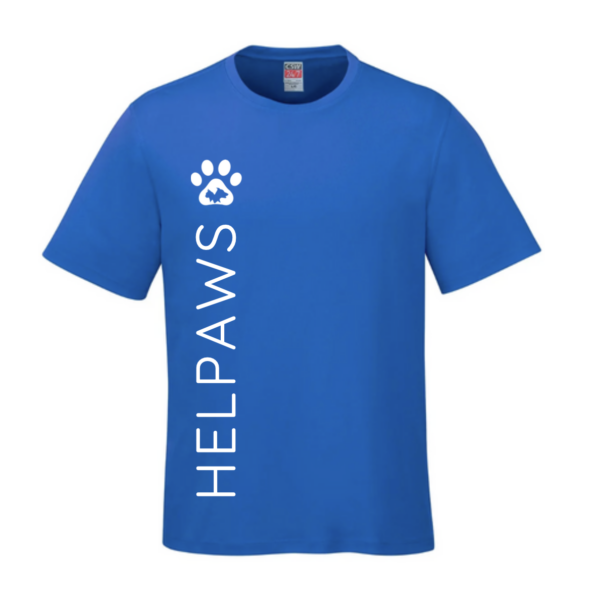 HelpAWS Logo Sapphire T-Shirt